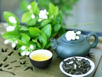 Có thể bạn chưa biết về nguồn gốc của các loại trà và sự phát triển văn hóa ẩm trà