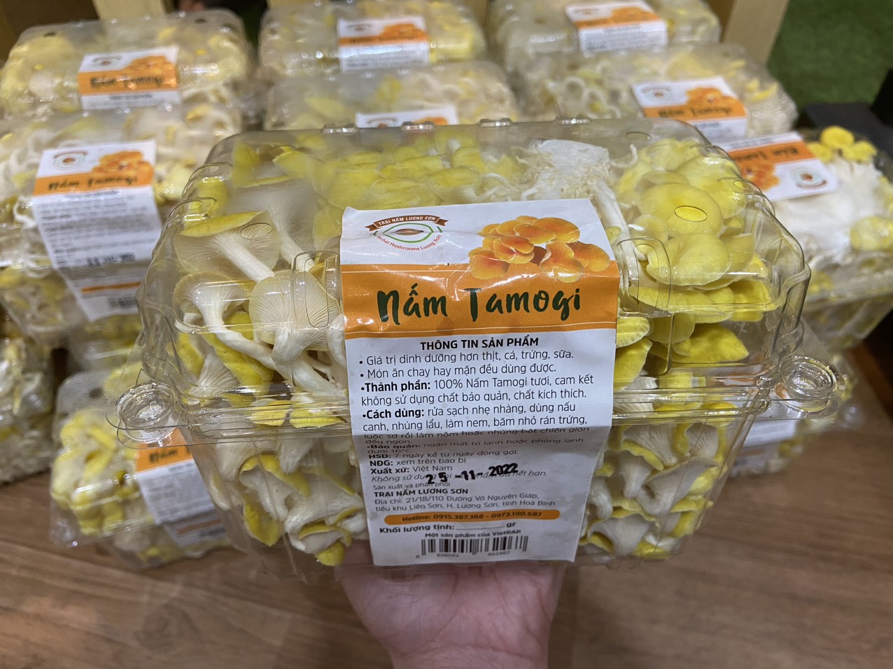NẤM TAMOGI TƯƠI